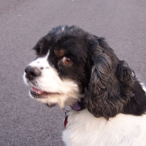 Billi J September 2009