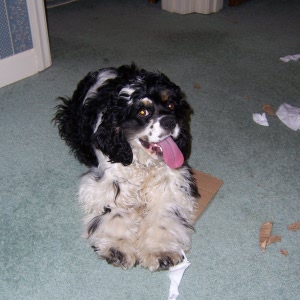 Aren't I just the cutest thing?