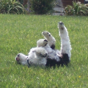 Something wonderful to roll in!