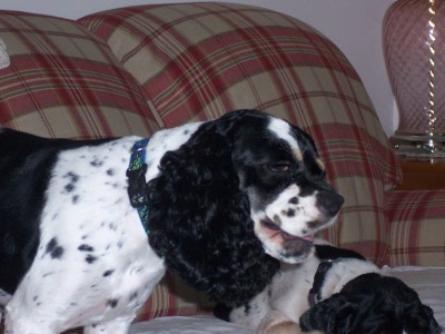 Well, if you want MY opinion...