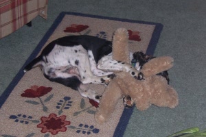 Playing with her 'baby'