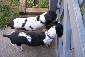 Are they leaving without us?