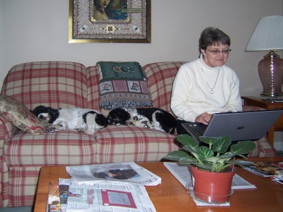 Computers don't excite us.